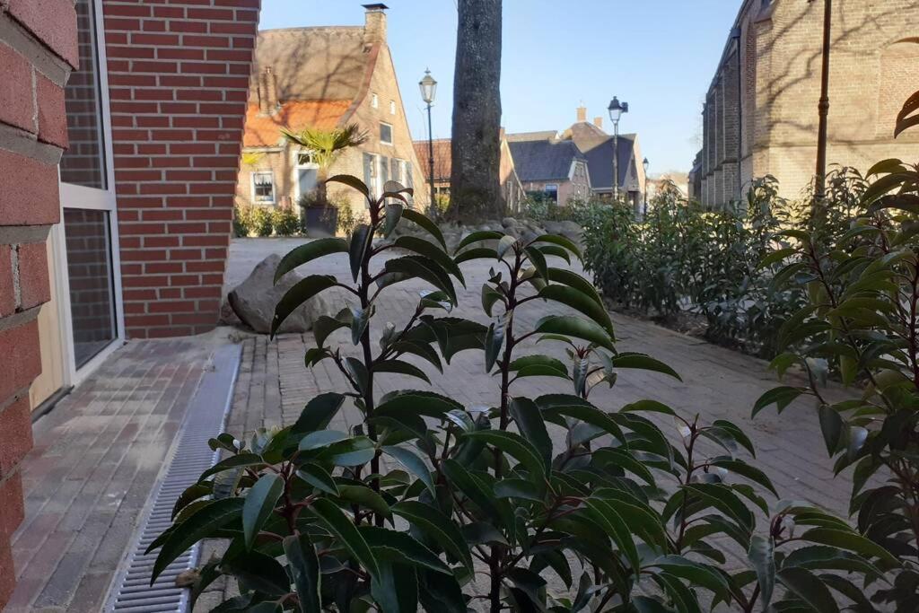 Brinkzicht Diever, Appartement Bert Exteriér fotografie